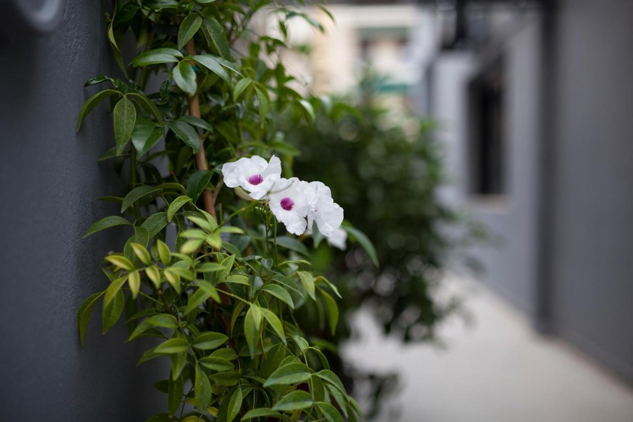 אתונה Spacious Flat With Courtyard And Private Parking! מראה חיצוני תמונה